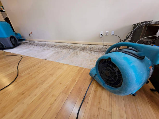 Professional Basement Flood Cleanup technician working in Dupo, IL